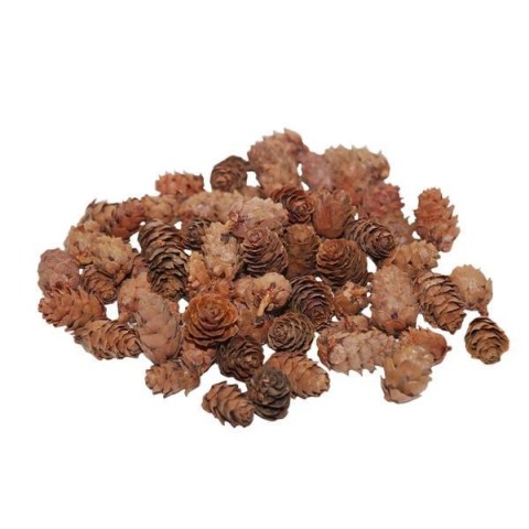 PIGNE BABY SPRUCE 150GR. L.2